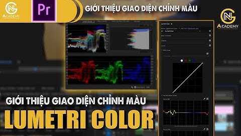 Giáo trình hướng dẫn chỉnh màu lumetri trong premiere pro