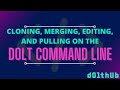 Dolt command line tutorial