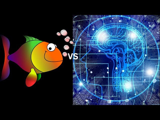 AlphaZero Vs StockFish – A Literature Review.pptx