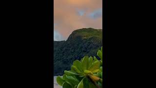 Lake Relaxing video | Live | 2 HOURS LIVE | SLEEP, STUDY, RELAX (Portrait)