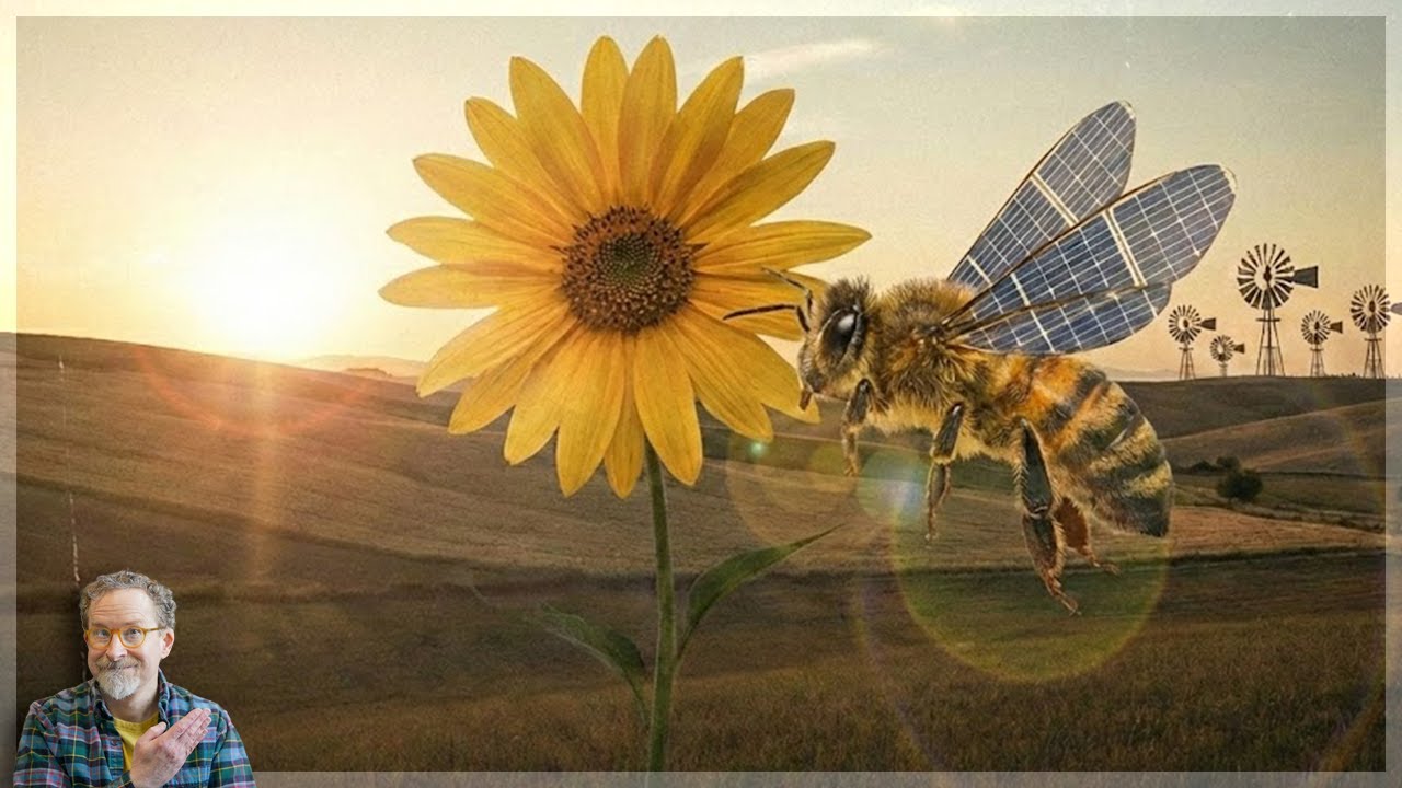 The "Bee" Philosophy: A Buddhist Guide to Sustainable Living