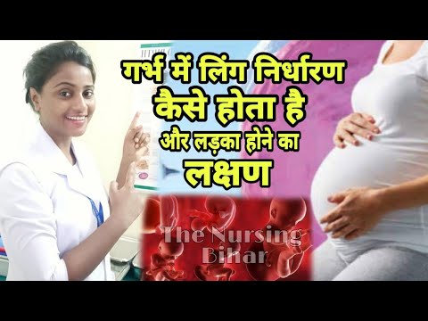 वीडियो: गर्भावस्था के दौरान लिंग का निर्धारण कैसे करें