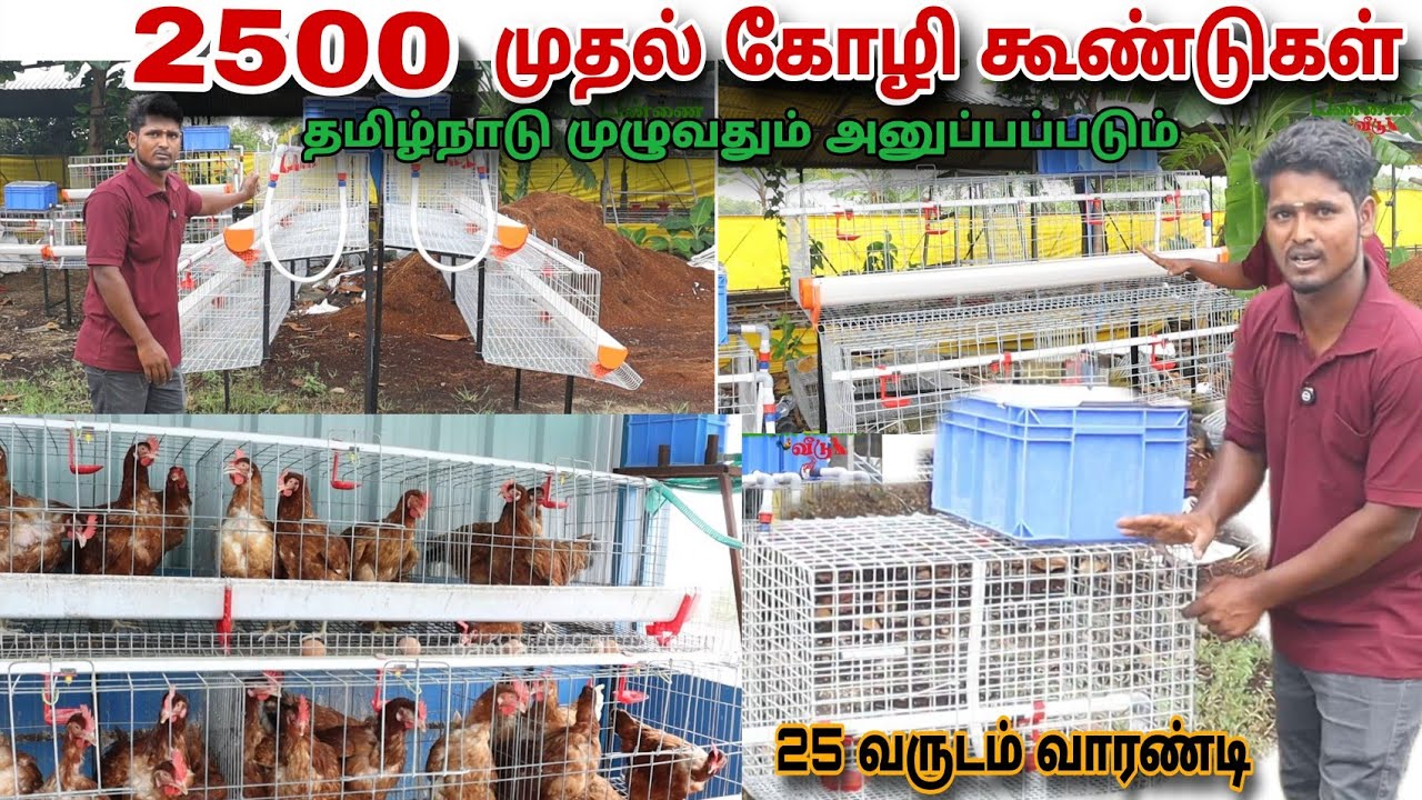 🔥 2500 முதல் முட்டைக்கோழி கேஜ் விற்பனைக்கு #pannaiveedu #farming 
