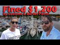 Fined $1,200 by Customs & Border Patrol -S5:E34
