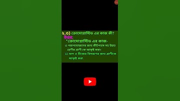 Class 8 Paribesh o Bigyan February 2022 Model Activity Task #shorts#activity_task_2022