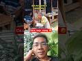 lagu viral nasihat utang #funny #memengakakkocak #seharianlucu #lucu #komedi #reaction