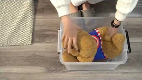 How to use Plastic Storage Box, Tote, Bins to organize your home to be clean?