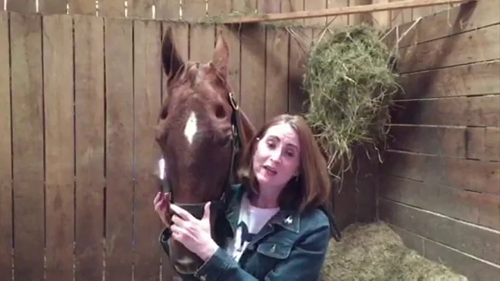 Horses Speak of God: How Horses Can Teach Us to Listen and Be Transformed by Laurie Brock