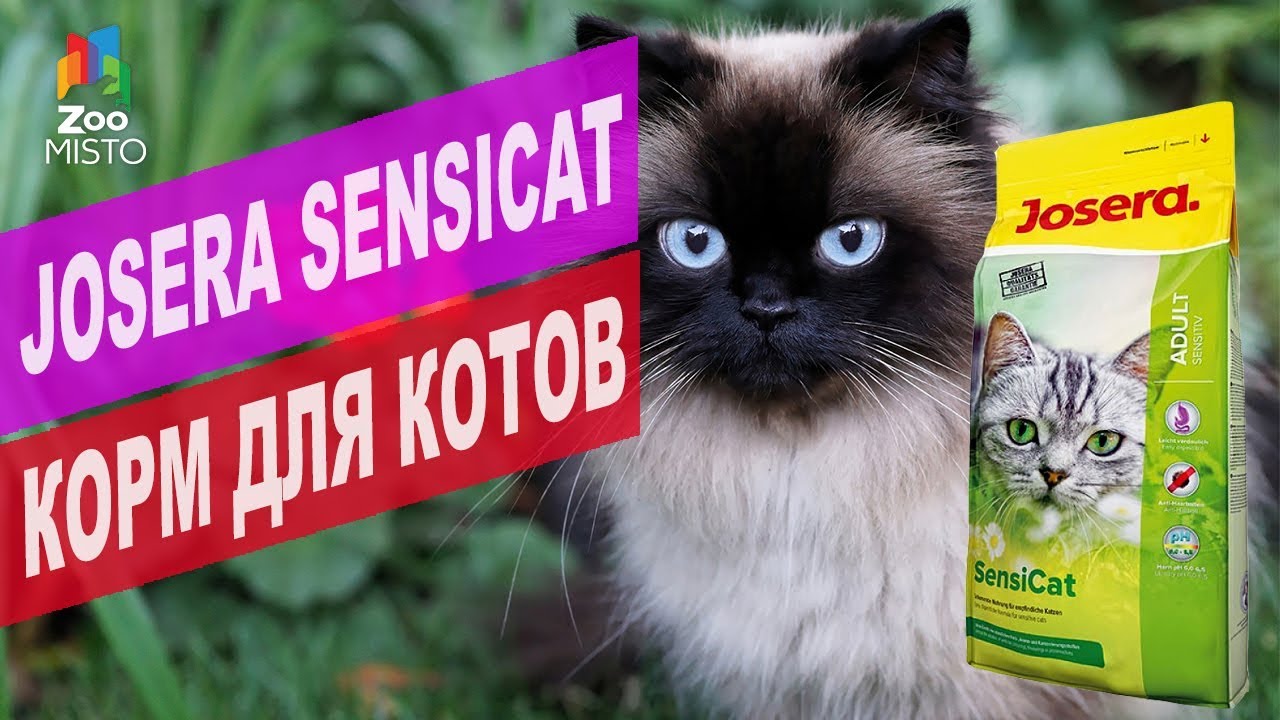 JOSERA SENSICAT ДЛЯ КОТОВ | Обзор Йозера Сенсикет для кошек