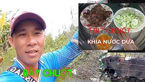 Bẫy Chuột Và Món Thịt Chuột Khìa Nước Dừa, Thơm Ngon Nức Mũi // Sông Nước Cà Mau [30]