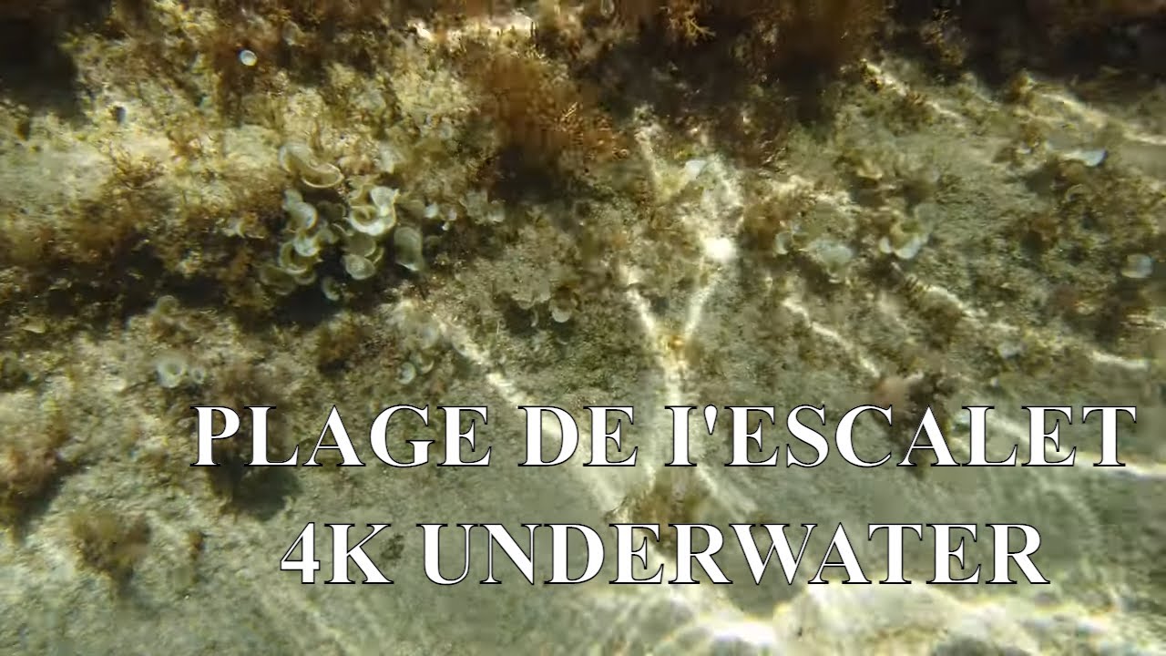 Plage de l'Escalet