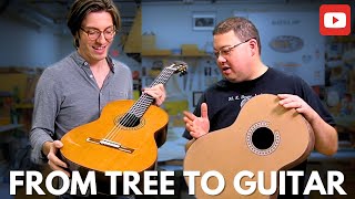 The Journey from Tree to Guitar! 🎸