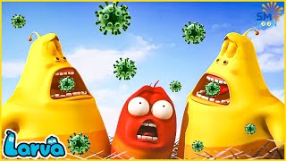 Bacteria Are Around Us - LARVA Season 2 - New Larva - Funny Cartoon - Special Video by LARVA.