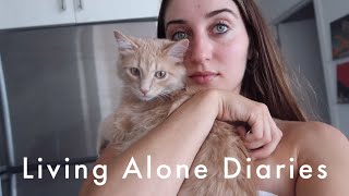 Living Alone Diaries ~ halloween haul, city adventures, redecorating by Book Claudy 6,121 views 1 year ago 13 minutes, 27 seconds