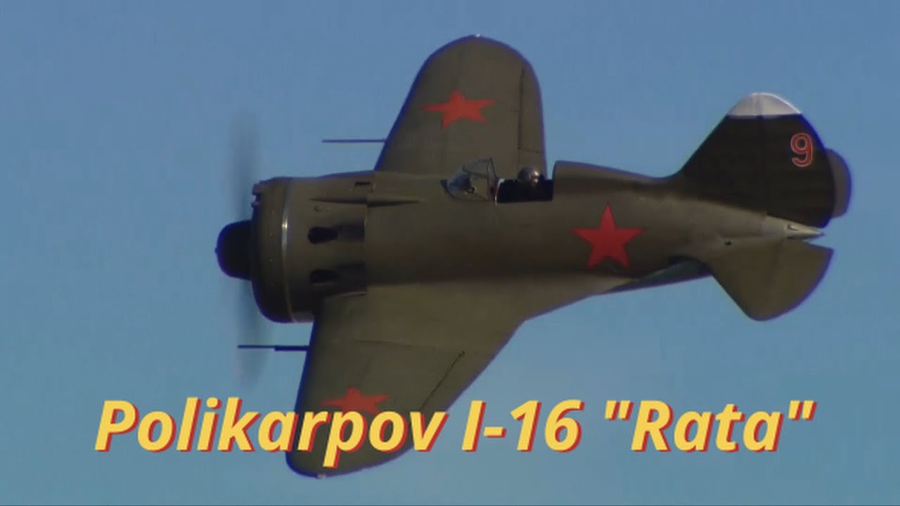 Polikarpov I-16 Rata Display