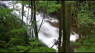 Lower Higgins Creek Falls Trail, Erwin, TN