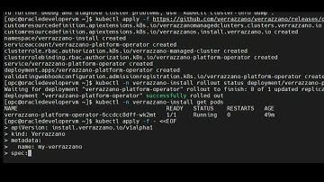 Verrazzano Quick Start Installation
