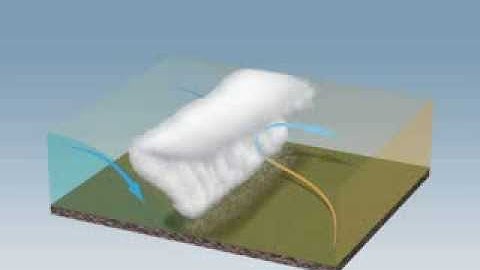 Temperate Cyclones: Warm, Cold and Occluded fronts.