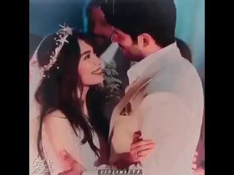 وايه يعني لو العشاق في دنيتنا يزيدوا اتنين