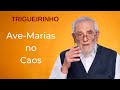 Trigueirinho | Ave-Marias no Caos