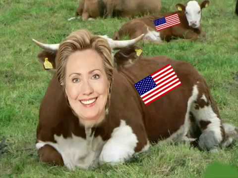 ناح النواح والنواحة على بقرة حاحا النطاحة احوال مصر فى السنوات الماضيه