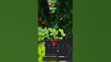 colour grading tutorial।। after and before।।#tutorial #shortsvideo #capcut #VN