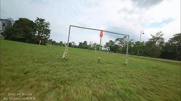 Avata Inverted Orbit Trippy Spin 倒带飞行风格