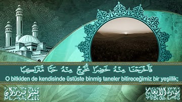 ما تيسر من سورة الأنعام - تميم بدران