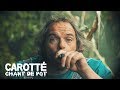 Carotté Chant De Pot Vidéoclip Officiel mp3
