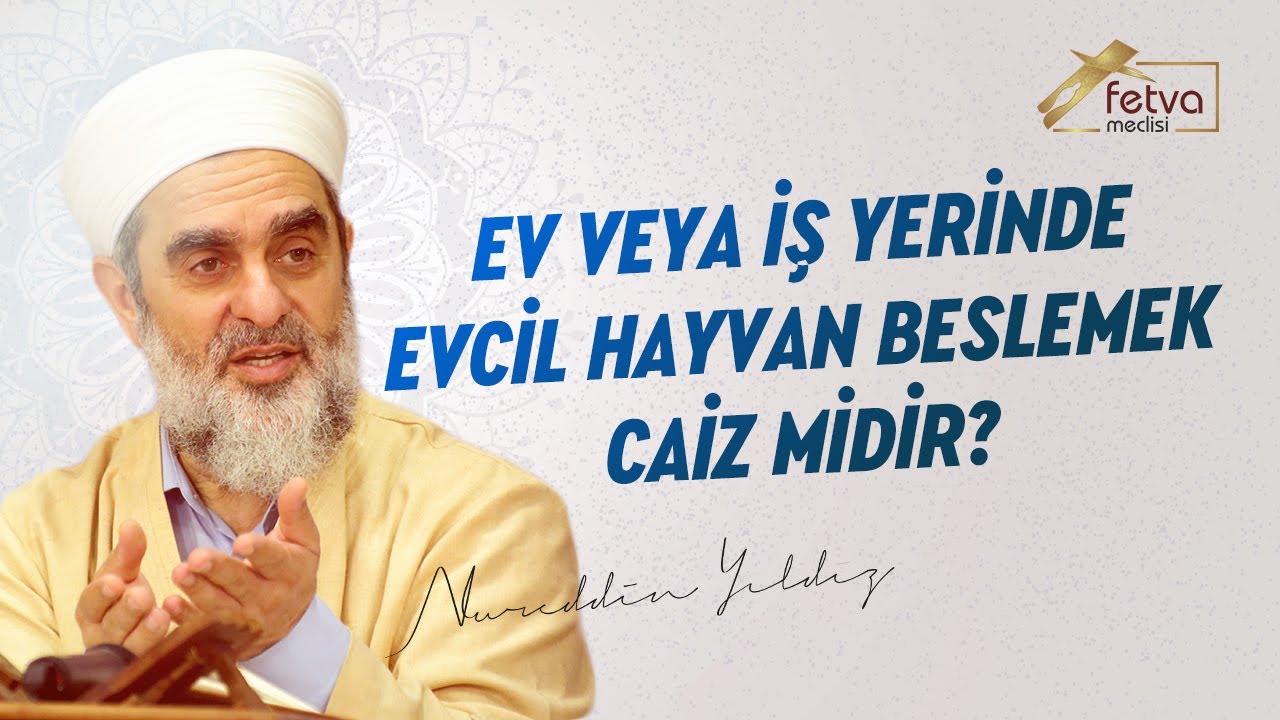 Ev Veya Is Yerinde Evcil Hayvan Beslemek Caiz Midir Nureddin Yildiz Youtube