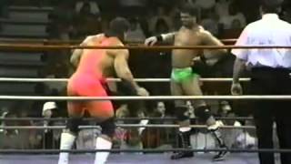 The Steiners vs Barry Horowitz & Doug Vines