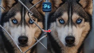 Photoshop tips and tricks   Remove fence   Adobe Photoshop Tutorial