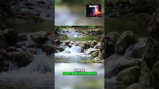 Caseworker Challenges Why Theyre Quitting Their Jobs