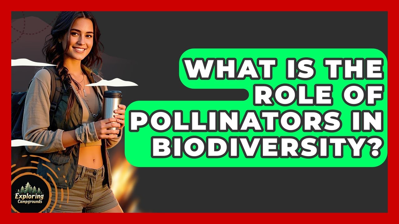 What Is The Role Of Pollinators In Biodiversity? - Exploring Campgrounds