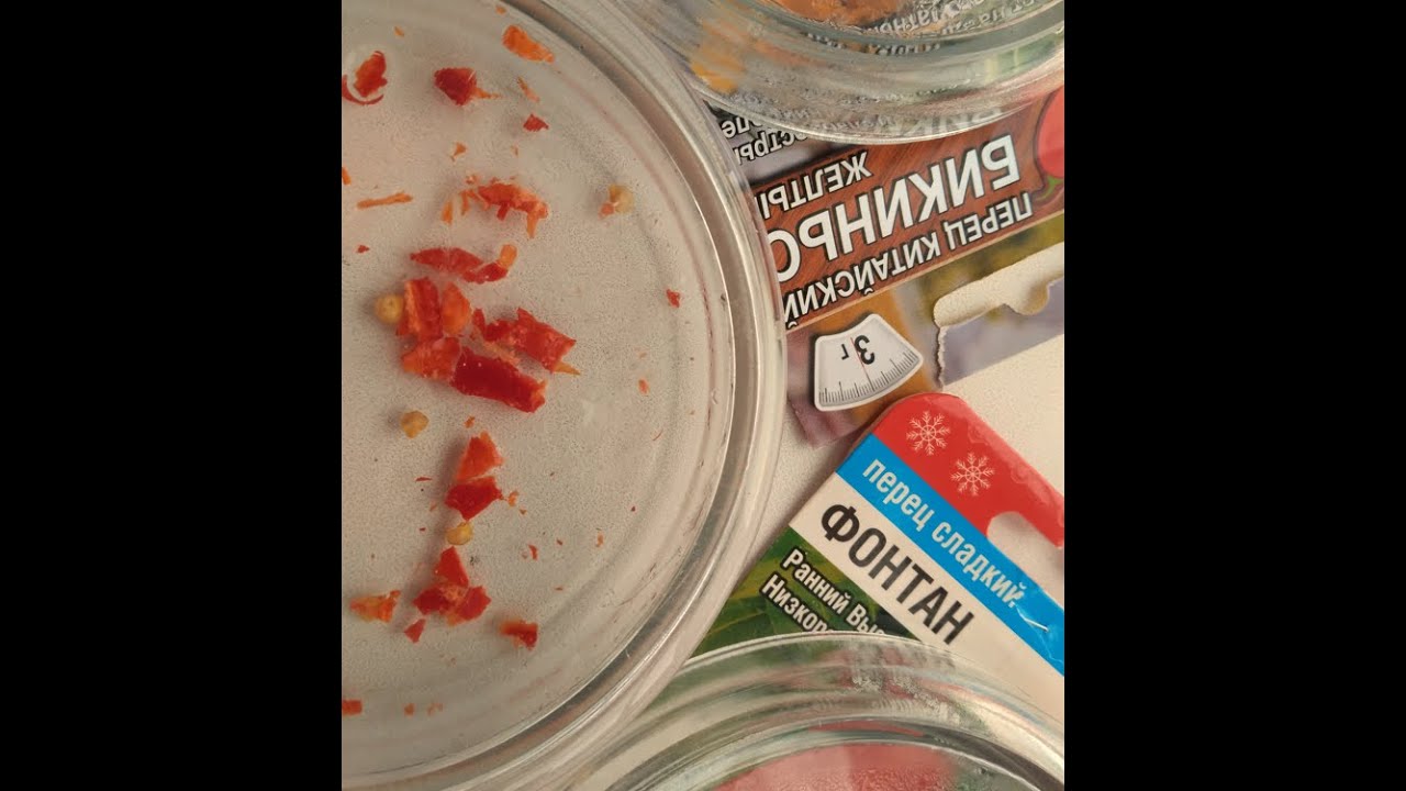 Про то, как Шум Ручья мне рецепт нашумел - YouTube