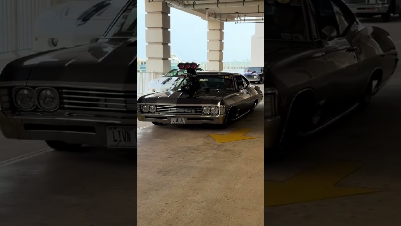 Check Any Used Car with EpicVIN | Reliable Vehicle History Reports USA 🚗