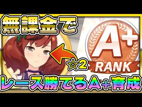 【#ウマ娘】無課金でレースでも勝てるA+の育成方法！A+にするためのおすすめサポートと育成のコツ、これを見れば初心者でも強いサポートが分かる【育成/リセマラ/ガチャ/因子/初心者/Aランク】うまむすめ