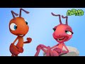 Midnight Manic | 🐛 Antiks & Insectibles 🐜 | Funny Cartoons for Kids | Moonbug