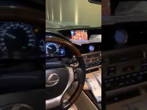 يلادعاصم يوم زرقات السهوم