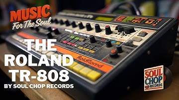 The TR-808 Drum Machine That Changed Music Forever (1980 Story)
