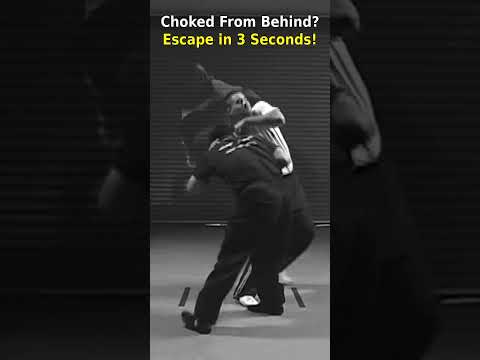 Choked From Behind? Escape in 3 Seconds | Self Defense #selfdefense #martialarts #kungfu