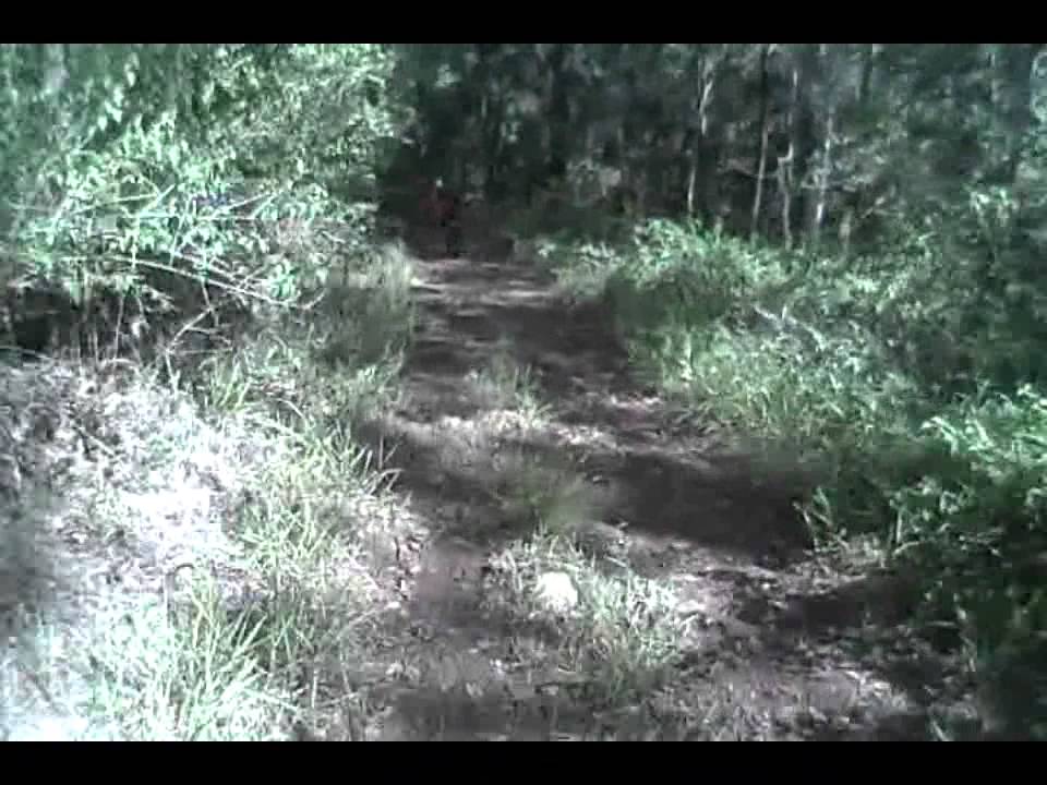 Rockyy's Bell Blast 1