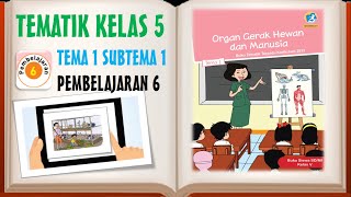 Pembelajaran tematik kelas 5 sd kurikulum 2013 tema 1 organ gerak
hewan dan manusia subtema 6 video lain sub : ht...