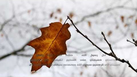 من روائع التلاوات والقراءات صوتا و تجويدا للشيخ بندر آل يسر