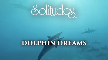 Dan Gibson’s Solitudes - Carefree | Dolphin Dreams