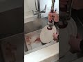 kitchen faucet head replacement #kitchen #commercial