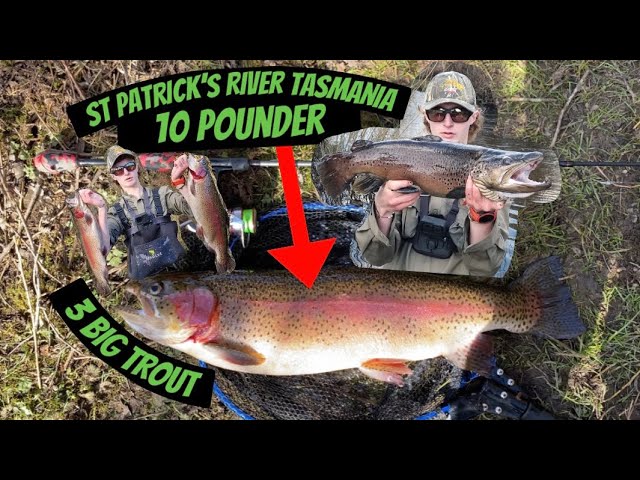 Trout Fishing North Esk River Tasmania 