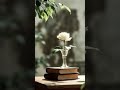 Enjoy Light Academia Ambience? More peaceful videos @MelodyMelange #relaxingsounds