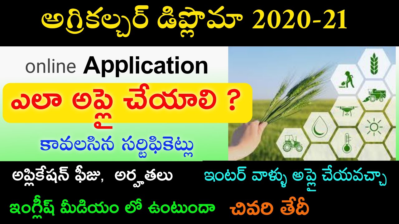 Apply Agriculture Diploma 2020 Online Application In Telugu Apply Apply Agriculture Diploma 2020 Online Application In Telugu Apply
