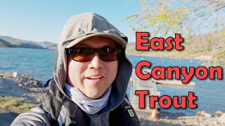 Trout Fly Fishing At East Canyon Reservoir